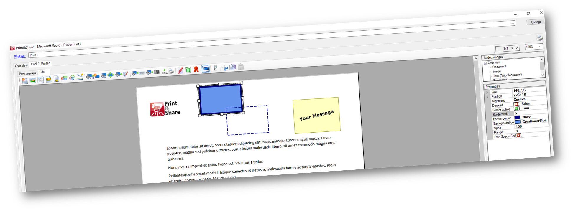 Overview of all features of Ricoh Print&Share virtual printer software